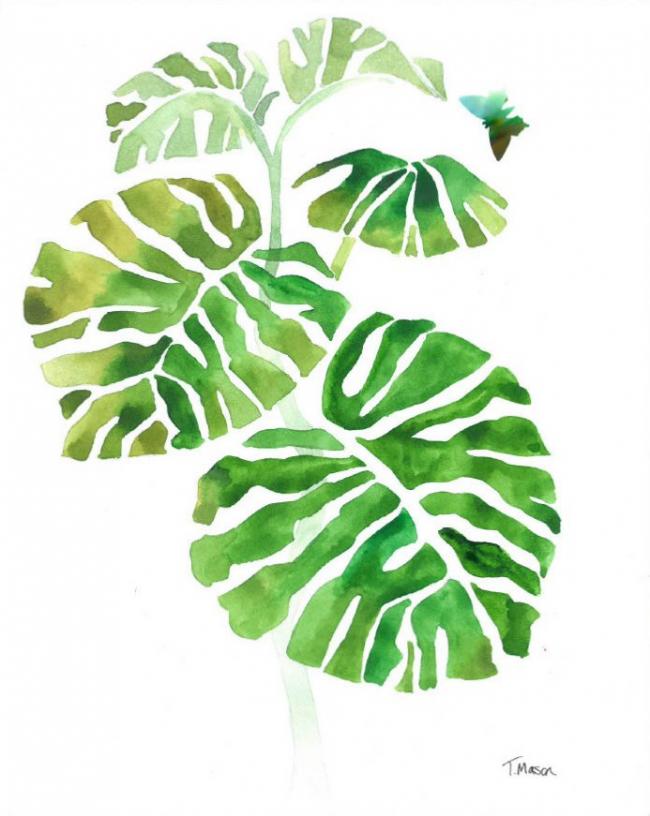 Monstera leaves and butterfly