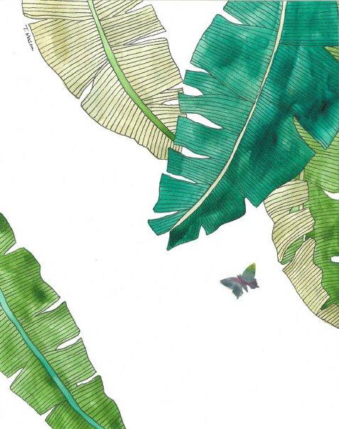 Banana leaves and butterfly